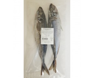 Horse Mackerel Taggmakrill 2-Pack