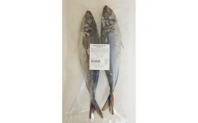 Horse Mackerel Taggmakrill 2-Pack